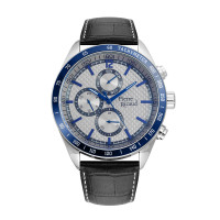 Часы Pierre Ricaud PR 97224.T257QF2