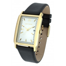 Часы Sauvage SA-SV01341G