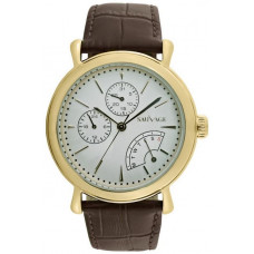 Часы Sauvage SA-SV10701G