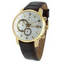 Часы Sauvage SA-SV11214G
