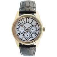 Часы Sauvage SA-SV72311G